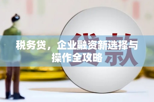 汐止税务贷，企业融资新选择与操作全攻略
