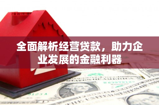 汐止全面解析经营贷款，助力企业发展的金融利器