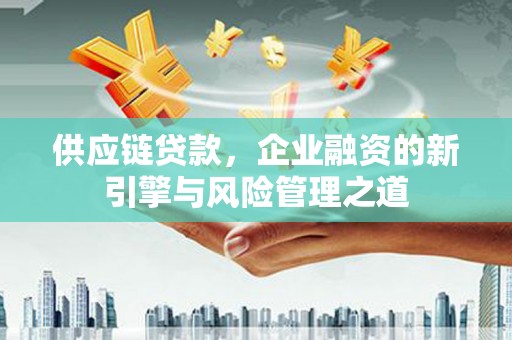 汐止供应链贷款，企业融资的新引擎与风险管理之道