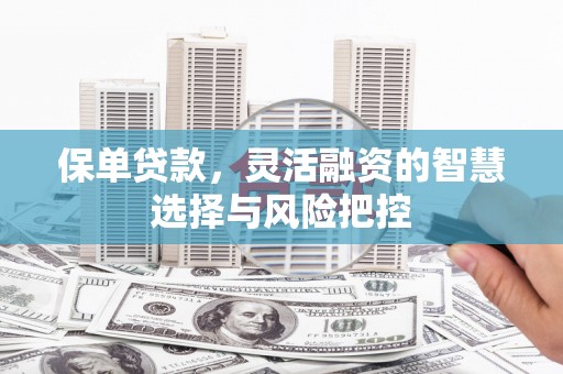 汐止保单贷款，灵活融资的智慧选择与风险把控