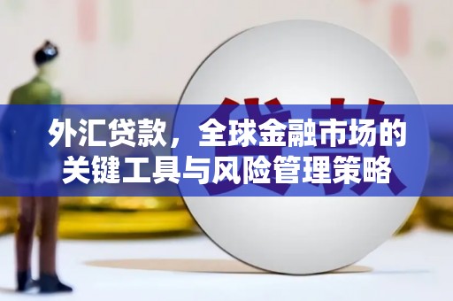 汐止外汇贷款，全球金融市场的关键工具与风险管理策略