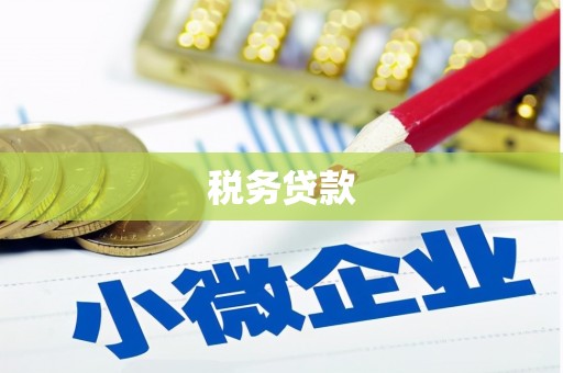 汐止税务贷款