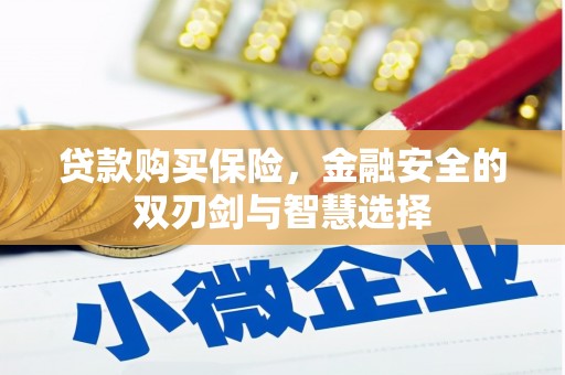 汐止贷款购买保险，金融安全的双刃剑与智慧选择