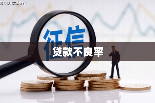 汐止贷款不良率