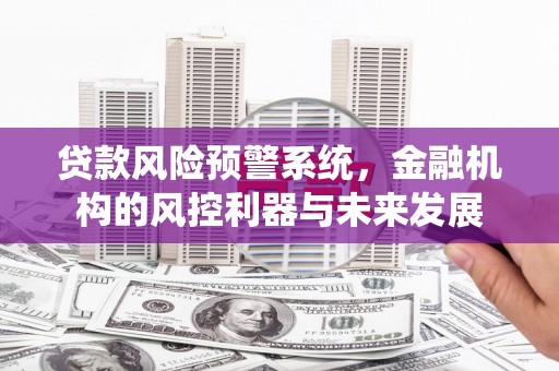 汐止贷款风险预警系统，金融机构的风控利器与未来发展