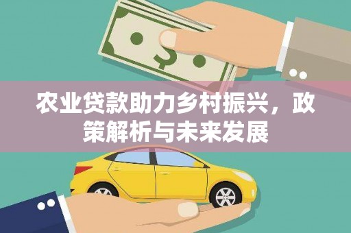 汐止农业贷款助力乡村振兴，政策解析与未来发展