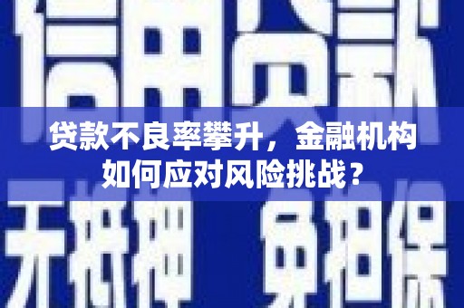 汐止贷款不良率攀升，金融机构如何应对风险挑战？
