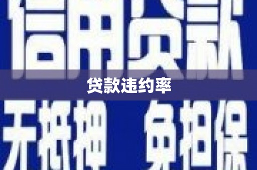 汐止贷款违约率