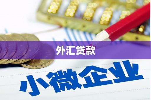 汐止外汇贷款