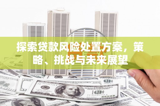 汐止探索贷款风险处置方案，策略、挑战与未来展望