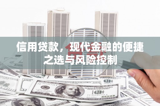 汐止信用贷款，现代金融的便捷之选与风险控制