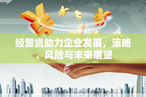 汐止经营贷助力企业发展，策略、风险与未来展望