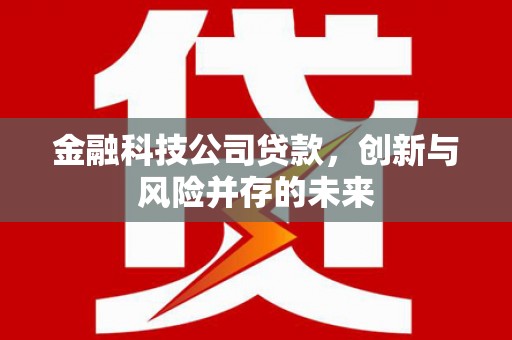 汐止金融科技公司贷款，创新与风险并存的未来