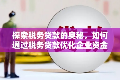 汐止探索税务贷款的奥秘，如何通过税务贷款优化企业资金流