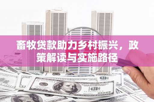 汐止畜牧贷款助力乡村振兴，政策解读与实施路径