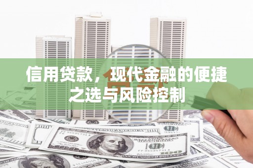 汐止信用贷款，现代金融的便捷之选与风险控制