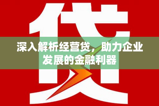 汐止深入解析经营贷，助力企业发展的金融利器