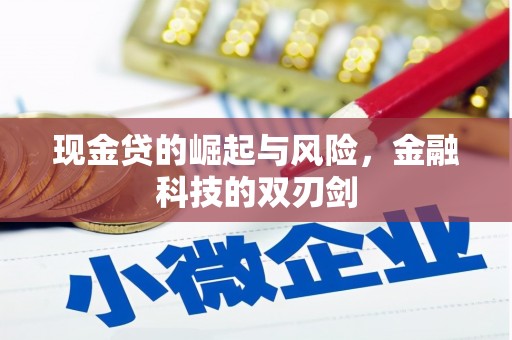 汐止现金贷的崛起与风险，金融科技的双刃剑