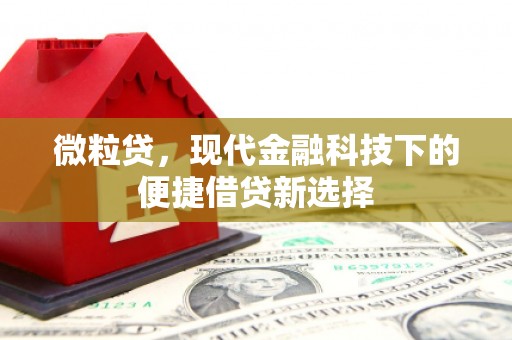 汐止微粒贷，现代金融科技下的便捷借贷新选择