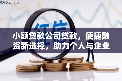 汐止小额贷款公司贷款，便捷融资新选择，助力个人与企业成长