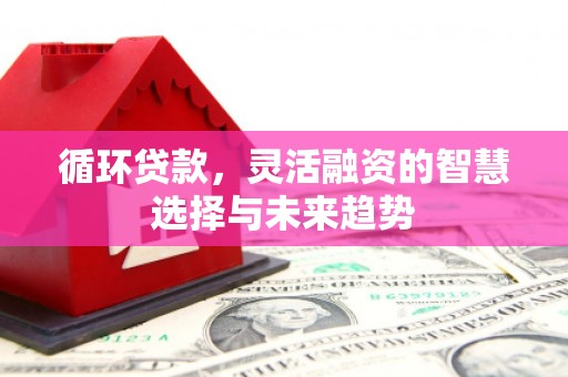汐止循环贷款，灵活融资的智慧选择与未来趋势