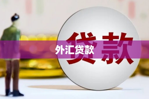 汐止外汇贷款