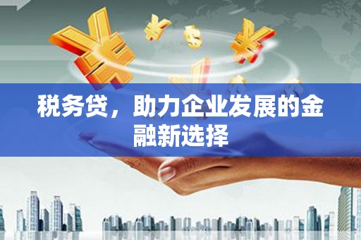 汐止税务贷，助力企业发展的金融新选择