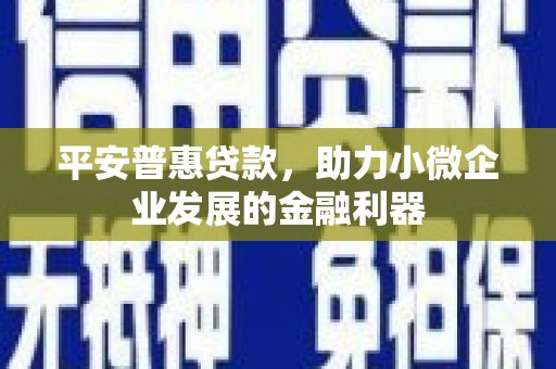 汐止平安普惠贷款，助力小微企业发展的金融利器