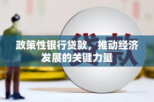 汐止政策性银行贷款，推动经济发展的关键力量