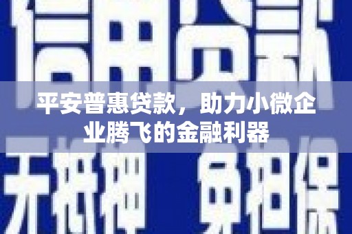 汐止平安普惠贷款，助力小微企业腾飞的金融利器