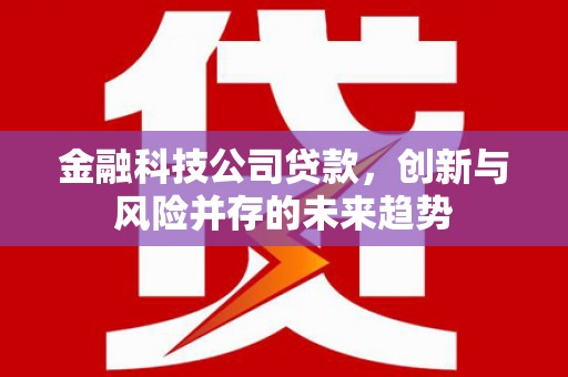 汐止金融科技公司贷款，创新与风险并存的未来趋势