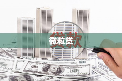 汐止微粒贷