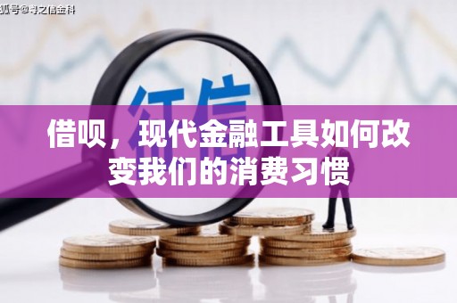 汐止借呗，现代金融工具如何改变我们的消费习惯