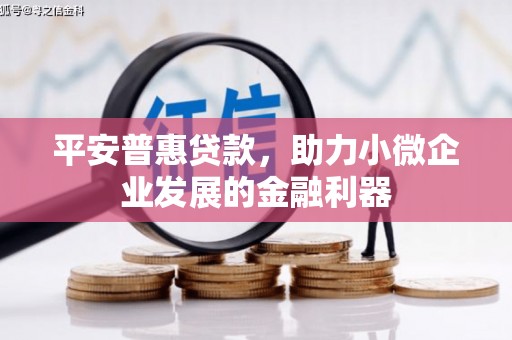汐止平安普惠贷款，助力小微企业发展的金融利器