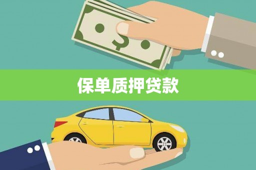 汐止保单质押贷款