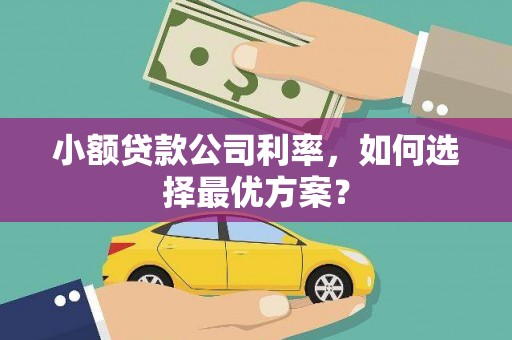 汐止小额贷款公司利率，如何选择最优方案？