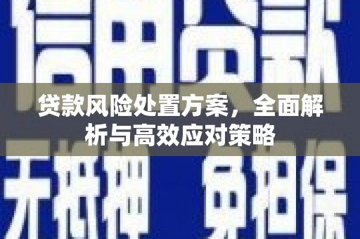 汐止贷款风险处置方案，全面解析与高效应对策略