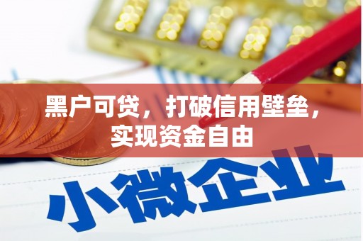 汐止黑户可贷，打破信用壁垒，实现资金自由