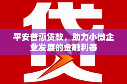 汐止平安普惠贷款，助力小微企业发展的金融利器