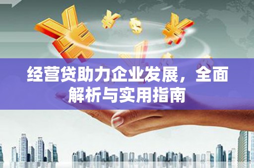汐止经营贷助力企业发展，全面解析与实用指南