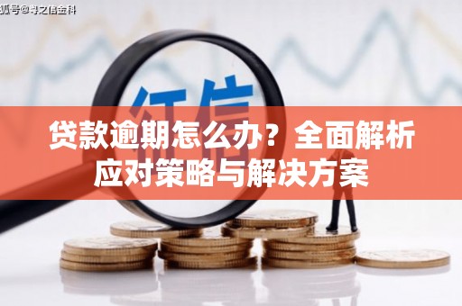 汐止贷款逾期怎么办？全面解析应对策略与解决方案