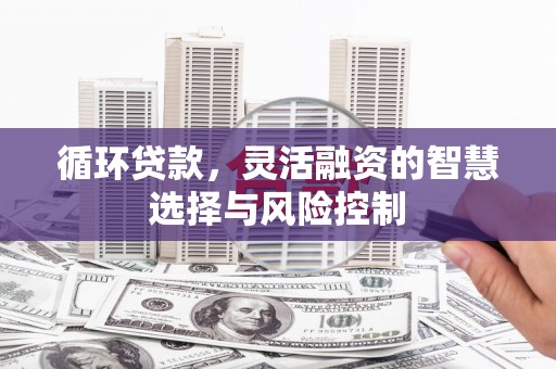 汐止循环贷款，灵活融资的智慧选择与风险控制