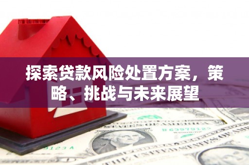 汐止探索贷款风险处置方案，策略、挑战与未来展望