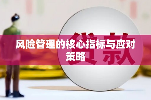 汐止风险管理的核心指标与应对策略