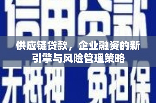 汐止供应链贷款，企业融资的新引擎与风险管理策略