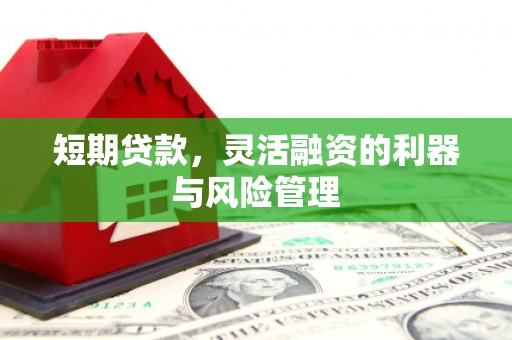 汐止短期贷款，灵活融资的利器与风险管理
