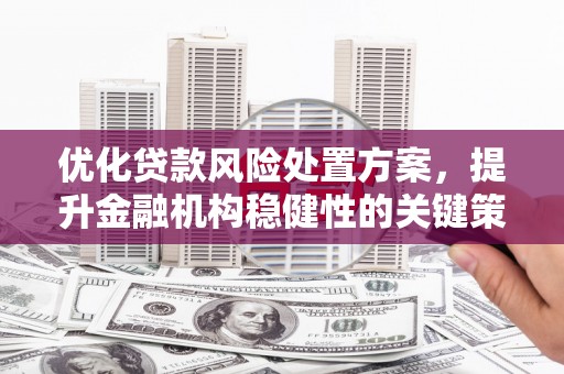 汐止优化贷款风险处置方案，提升金融机构稳健性的关键策略