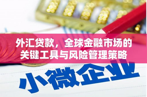 汐止外汇贷款，全球金融市场的关键工具与风险管理策略