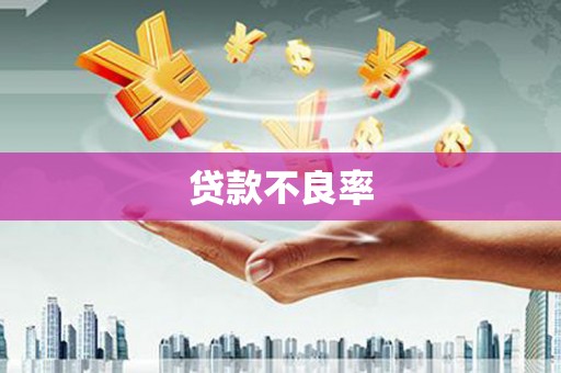 汐止贷款不良率