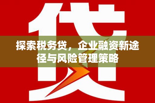 汐止探索税务贷，企业融资新途径与风险管理策略